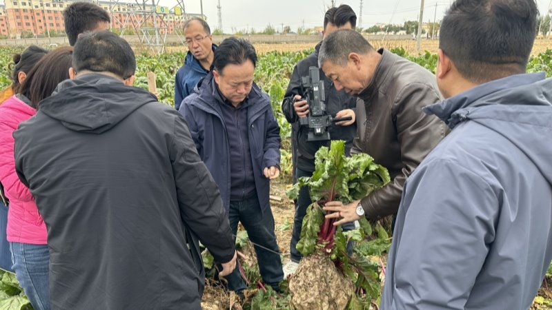 经济作物与啤酒原料研究所在永昌举...