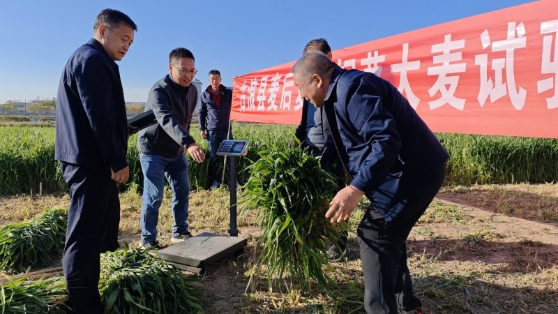 经济作物与啤酒原料研究所在古浪县...