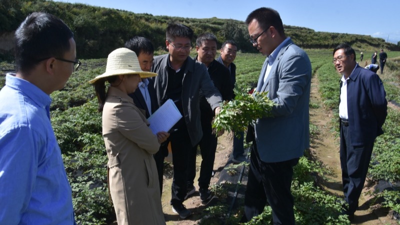 科技破题当归抽薹难关 创新引领产业...
